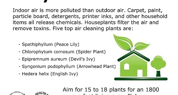 Indoor Air Quality