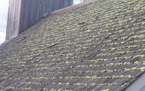 Wood Shingle Roof