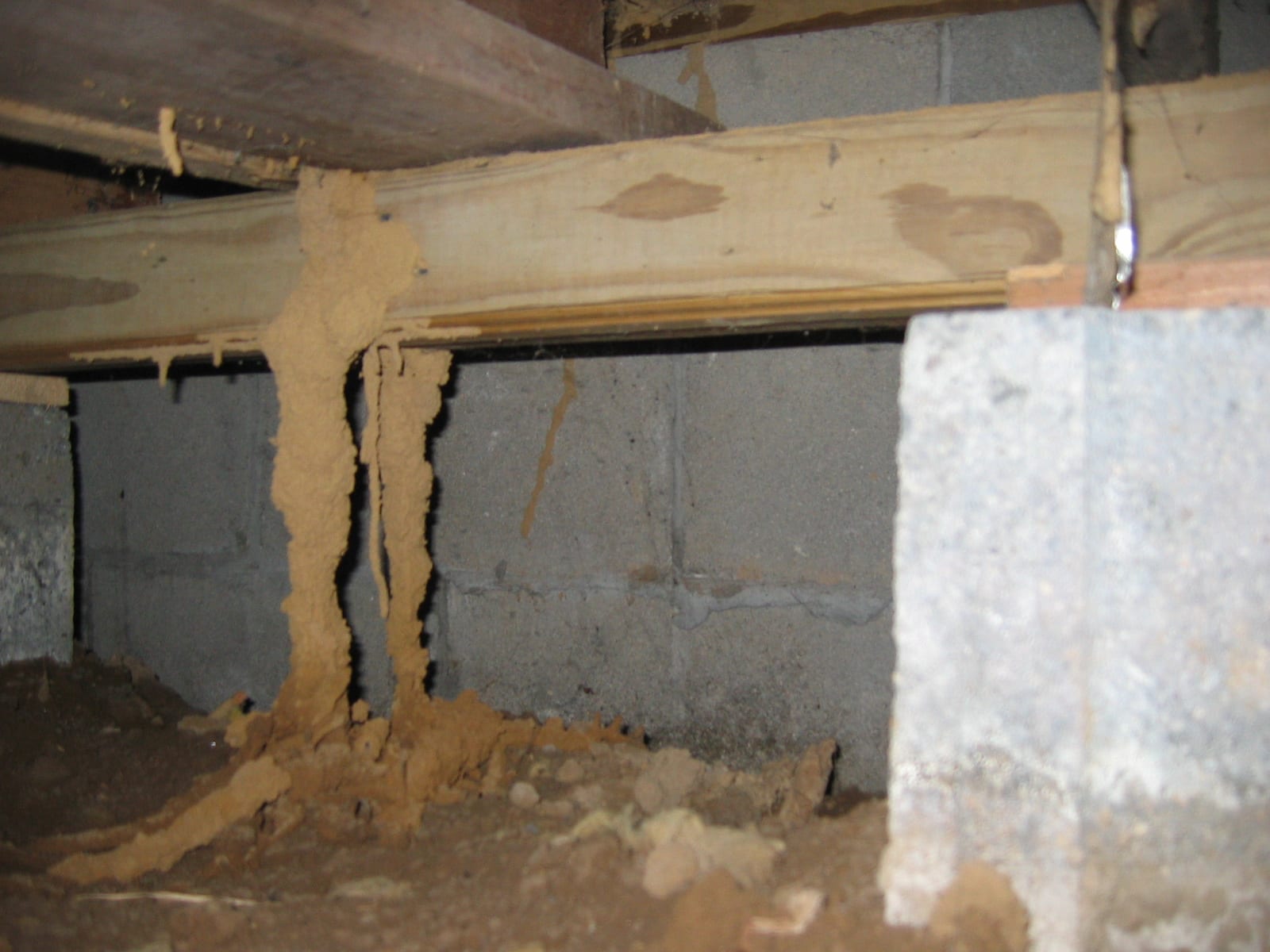 termite inspection fresno