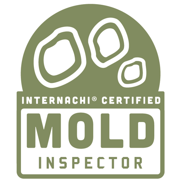 Mold Inspection