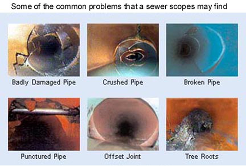 Common Sewer Line Issues