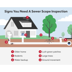 How do I know if my main sewer line is clogged?