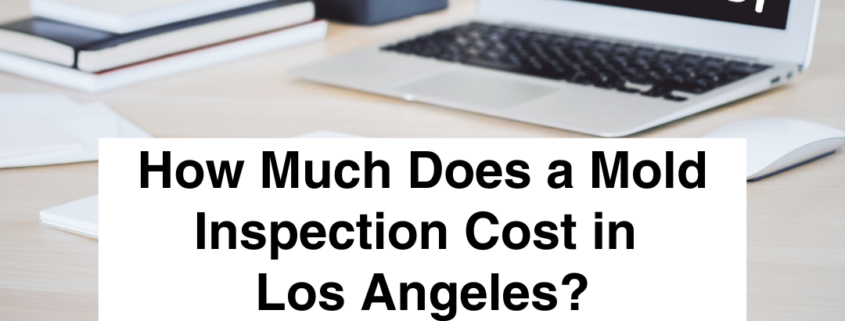 How Much Does a Mold Inspection Cost in Los Angeles?