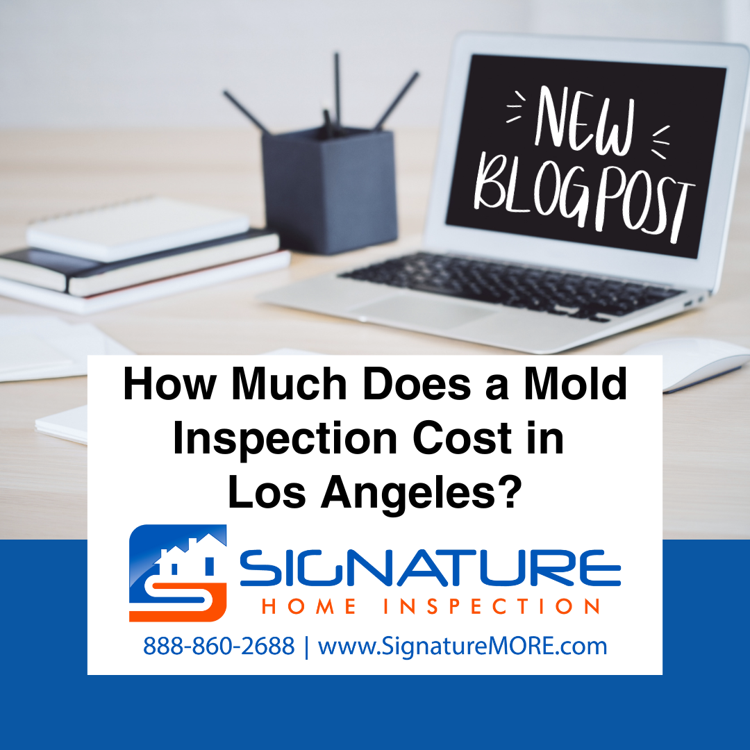 How Much Does a Mold Inspection Cost in Los Angeles?