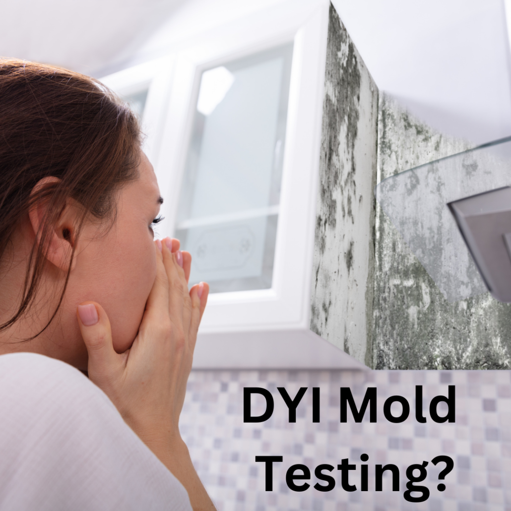 At home mold test, I know they aren't super accurate but I have