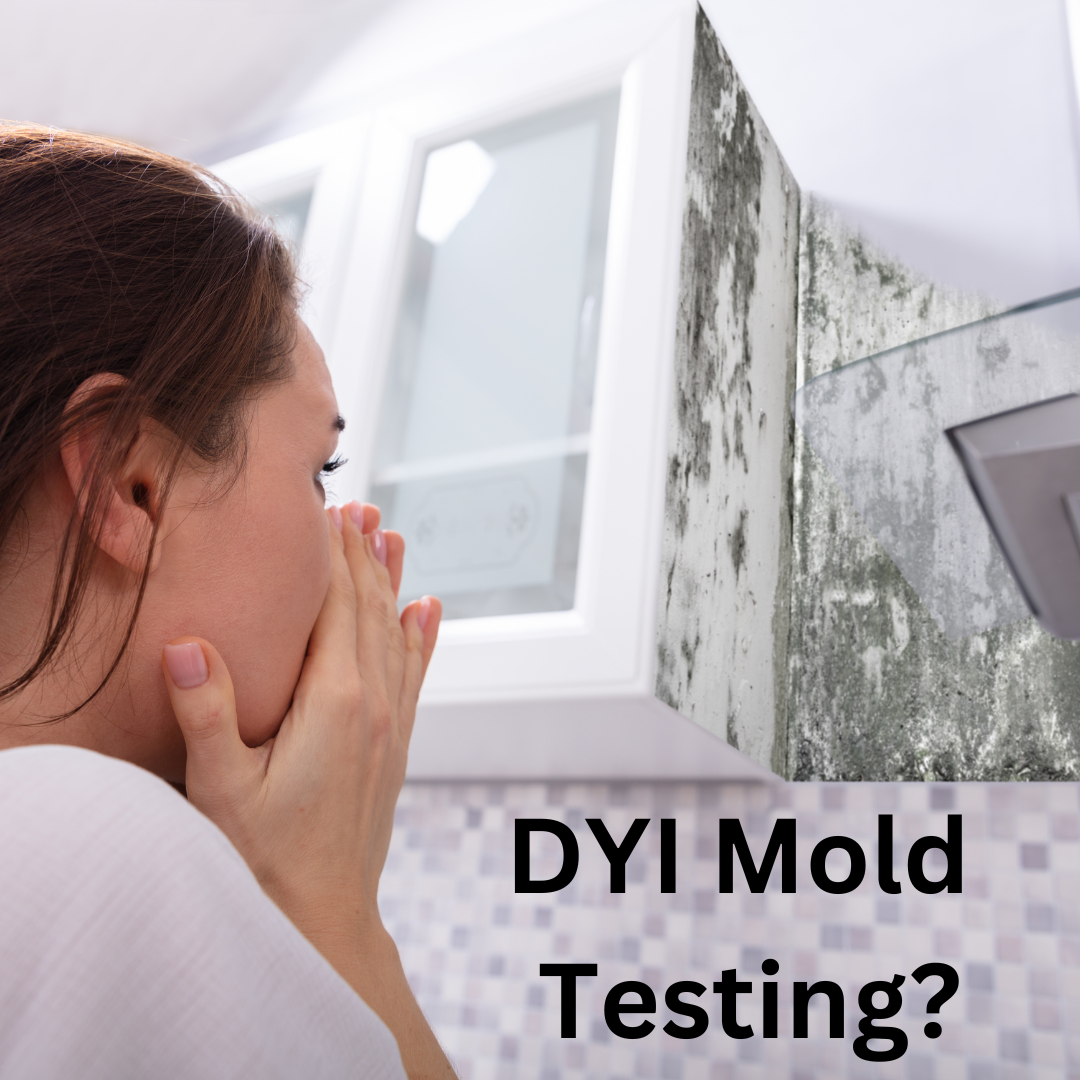 Are do it yourself mold test kits accurate and reliable? - Signature  Property Inspection